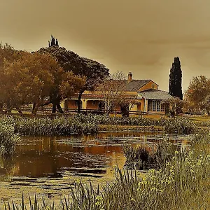 Mas Fandelou Bed & Breakfast