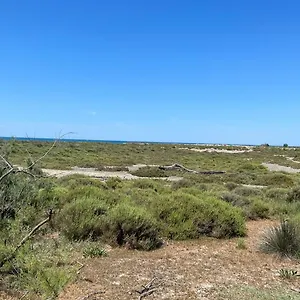 Résidence L’oiseau Des Sables Appartement